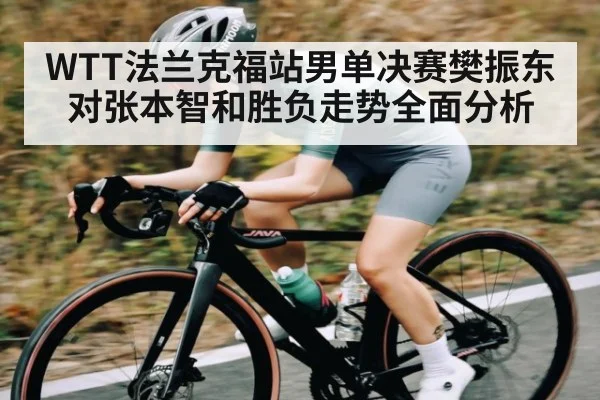 WTT法兰克福站男单决赛樊振东对张本智和胜负走势全面分析 - kaiyun