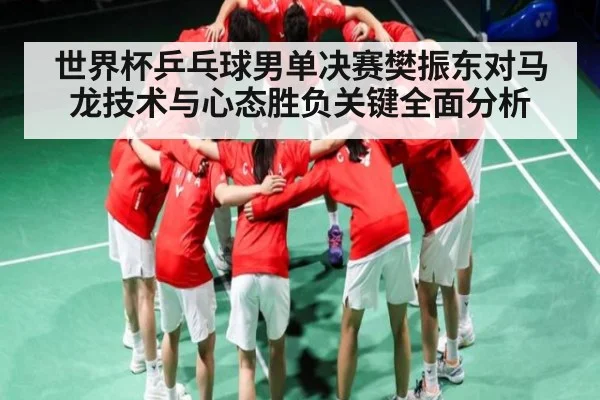 世界杯乒乓球男单决赛樊振东对马龙技术与心态胜负关键全面分析 - kaiyun